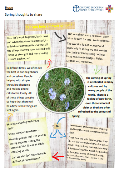 This is a reflection on Hope by the Oxford Diocese